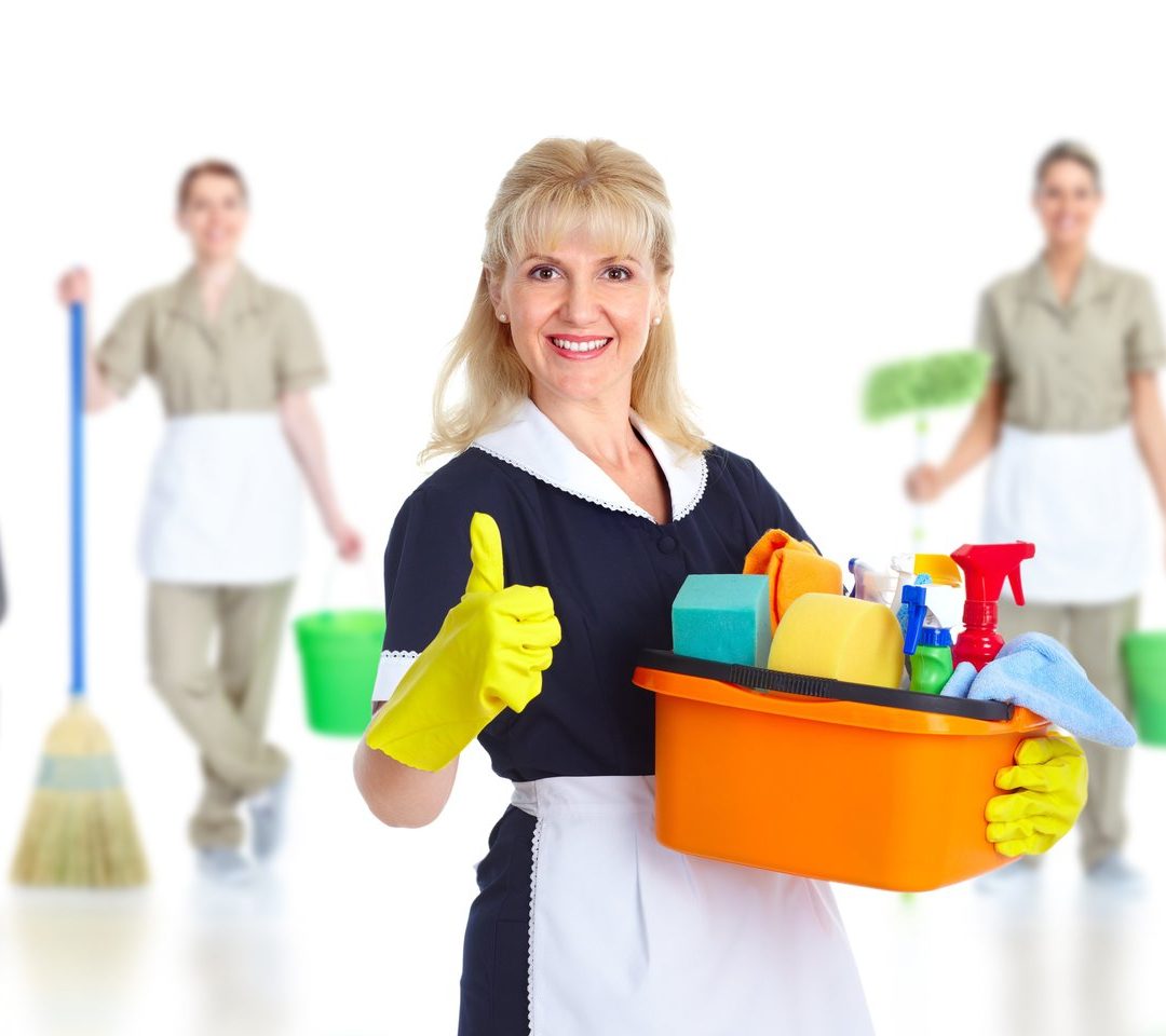 ipa-servicios-mantenimiento-limpieza-empresas-oficinas-negocios-servicios-productos- (101) ipa-servicios-mantenimiento-limpieza-empresas-oficinas-negocios-servicios-productos- (101)